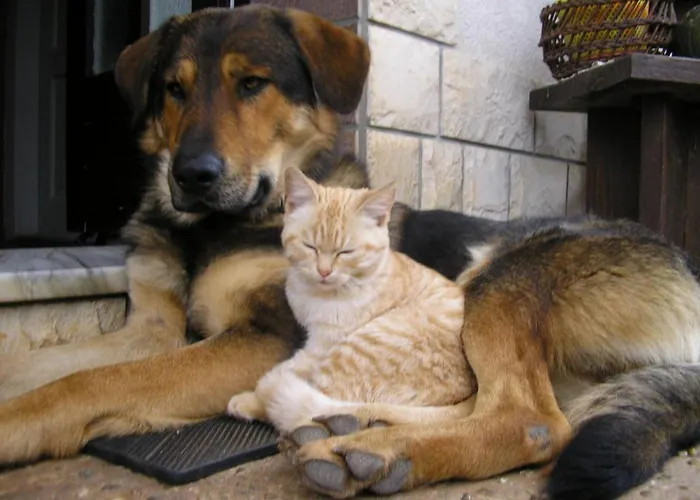 By Interhome * Opatija