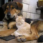 By Interhome * Abbázia